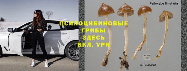 трава Армянск