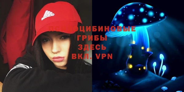прущий лед Богородск