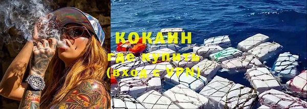 мет Арсеньев