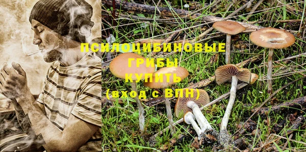 трава Армянск
