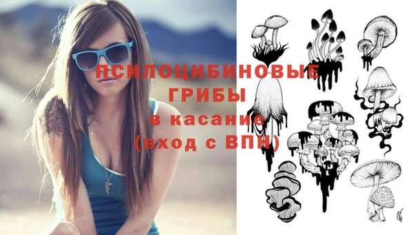 дмт Богородицк