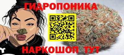 spice Владимир