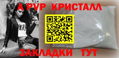 spice Владимир