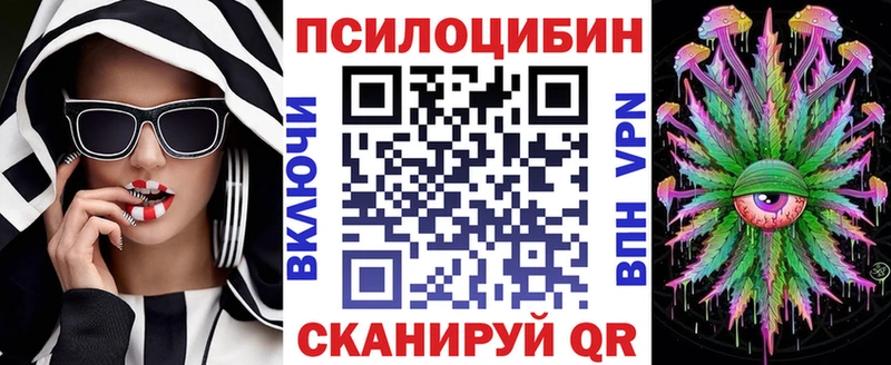 Псилоцибиновые грибы Psilocybe Новомосковск