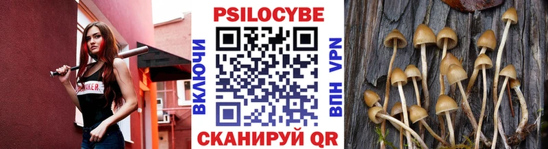 Псилоцибиновые грибы мицелий  дарнет шоп  Новомосковск 