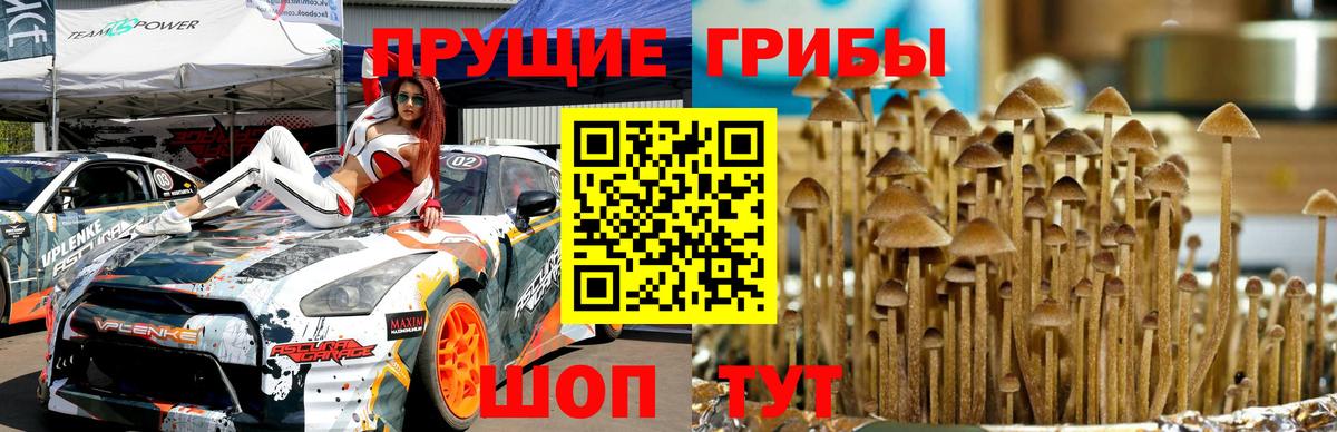 Новомосковск  Галлюциногенные грибы ЛСД  Вход с VPN 